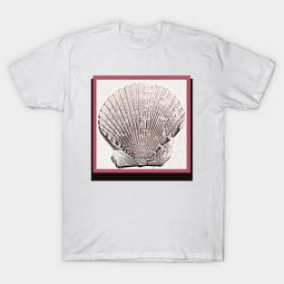 Lispe Photo Art Scallop Sea Shell with Pink T-Shirt